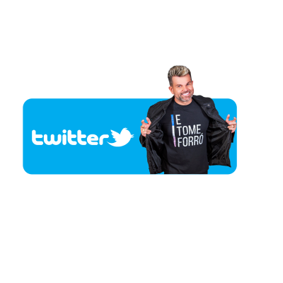 twitter_botao